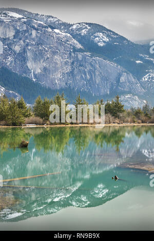 Squamish Estuary, British Columbia. The view looking over the Squamish Estuary at the mouth of the Squamish River. Stock Photo