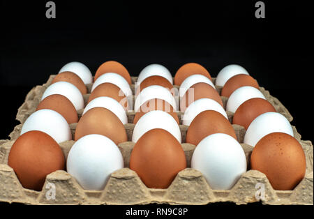 packing of yellow and white chicken eggs arranged in a diagonal composition on a black background. Stock Photo