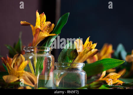 Flower arrangement close-up with yellow flowers in glass jars with green leaves. Home decoration concept with copy space Stock Photo