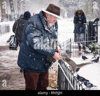 2 March 2018 - London, England. Good hearted man feeding a squirrel in St James Park on a cold and snowy day in the capital. Stock Photo
