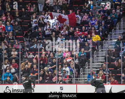 Detroit, Michigan, USA. 17th Feb, 2019. Canadian Fans cheer for their team during the 2019 Rivalry Series at Little Caesars Arena. Team Canada won 2-0. Credit: Scott Hasse/ZUMA Wire/Alamy Live News Stock Photo