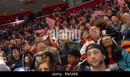 Detroit, Michigan, USA. 17th Feb, 2019. Team USA Fans cheer during the 2019 Rivalry Series at Little Caesars Arena. Team Canada won 2-0. Credit: Scott Hasse/ZUMA Wire/Alamy Live News Stock Photo