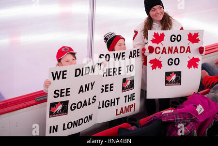 Detroit, Michigan, USA. 17th Feb, 2019. Team Canada Fans during the 2019 Rivalry Series at Little Caesars Arena. Team Canada won 2-0. Credit: Scott Hasse/ZUMA Wire/Alamy Live News Stock Photo