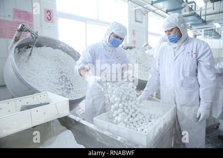Beijing, Beijing, China. 18th Feb, 2019. Beijing, CHINA-Workers are busy making glutinous rice balls at a factory in Beijing, China. Credit: SIPA Asia/ZUMA Wire/Alamy Live News Stock Photo