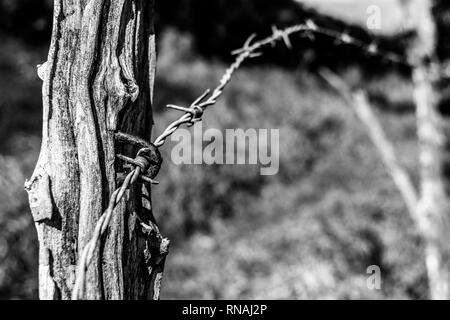 Black and white textured wooden post, part of a barbed wire fence boundary on farm land in rural countryside. Do not enter. Do not cross. Stock Photo