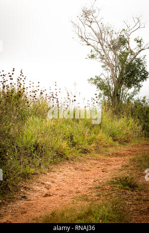 Lonely narrow dirt path uphill through rural countryside. Concept. Off the beaten path. Road less traveled. Stock Photo