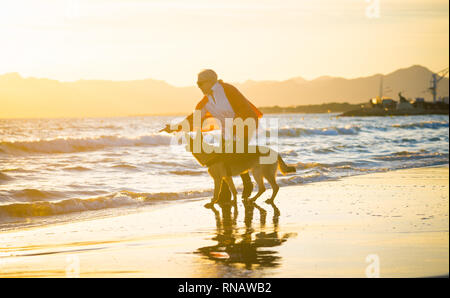 Beautiful retired older woman and pet german shepard dog walking along the shore sea ocean on beach in Companionship Benefits of animals Keeping activ Stock Photo
