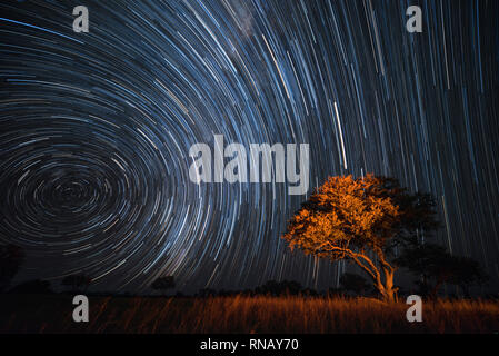 A star trail seen in Zimbabwe's Hwange National Park. Stock Photo
