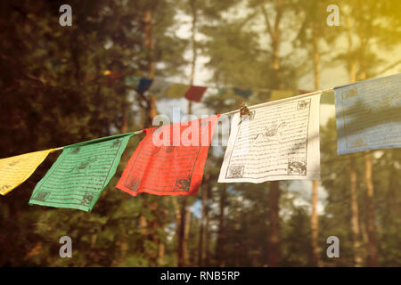 Tibetan prayer flags with mantra, blurry text. Five color flags in the forest, sunny day. Faith concept Stock Photo