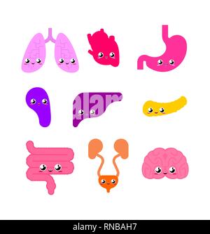 Internal organ Cute set. Anatomy of human body cartoon style. Heart and brain. Liver and stomach. Esophagus and pancreas. Kidney and spleen. Lungs. Sy Stock Vector
