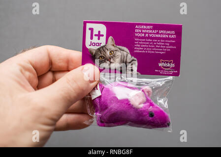 Paris, France - Jan 23, 2019: Man holding POV Whiskas gift for a cat - a pink violet mouse scented with cat grass Stock Photo