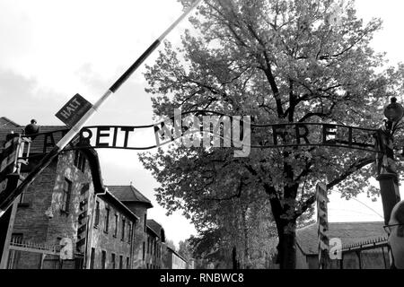 Birkenau Auschwitz Concentration Camp Entrance Work set you free Stock Photo