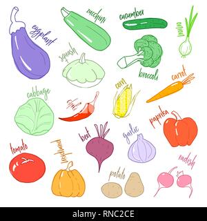 Set of different vegetables in doodle style. Vector Stock Vector