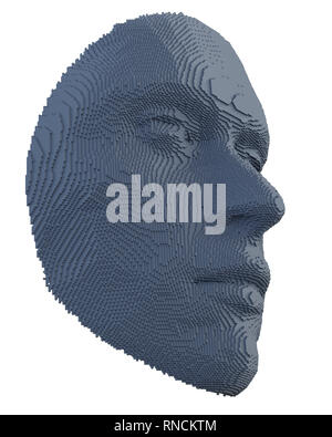 Abstract human face constructing from cubes Stock Photo