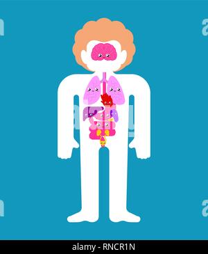 Cute Human anatomy organs Internal. cartoon style Systems of man body and organs. medical systems. kids character. Childrens style Stock Vector