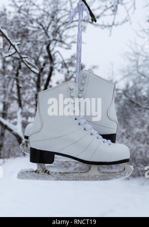 White women's skates hang on a tree, winter time, outdoor activities Stock Photo
