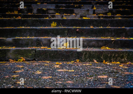 Concrete steps after rain with yellow leafs on them Stock Photo