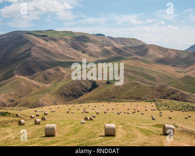 Large round hay bales scattered over a paddock field, beneath brown grass hills, Taihape Napier Road, Inland Patea, Central North Island, New Zealand Stock Photo