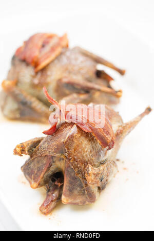 Two woodpigeons that have been oven roasted with streaky bacon and photographed on a white background. The woodpigeon, Columba palumbus, is one of the Stock Photo