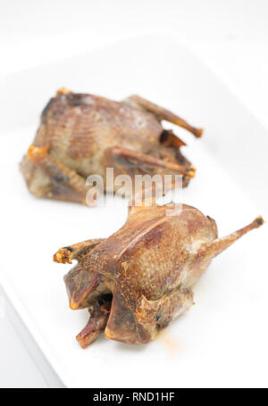 Two woodpigeons that have been oven roasted and photographed on a white background. The woodpigeon, Columba palumbus, is one of the most common birds  Stock Photo