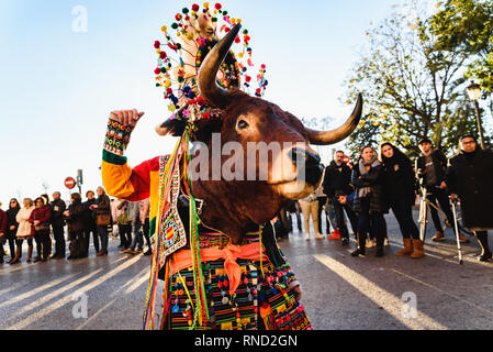 Valencia, Spain - February 16, 2019: Man disguised as a shaman with a ceremonial bull wearing the traditional Bolivian party outfit during a carnival  Stock Photo