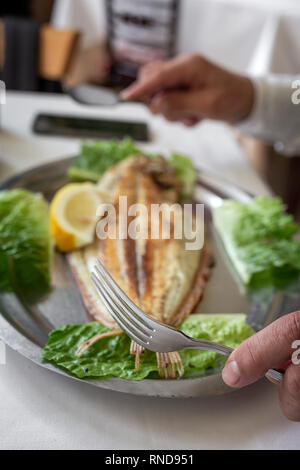 Restaurant table ready to eat. Cutlery, napkins, cups; dishes. sole Stock Photo