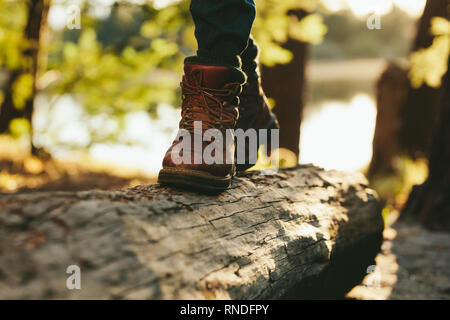 Close up of legs of a person walking on a log on wood in a forest. Cropped shot of a person wearing leather boots walking on a dead tree trunk. Stock Photo
