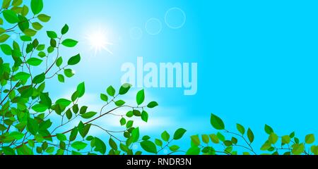 Branches of a tree with leaves. The sun in the blue sky. Cloud. Summer background. Stock Vector