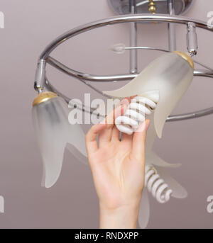 Installing an energy-saving modern spiral bulb in a chandelier suspended from the ceiling, close-up, arm, saving, economical Stock Photo