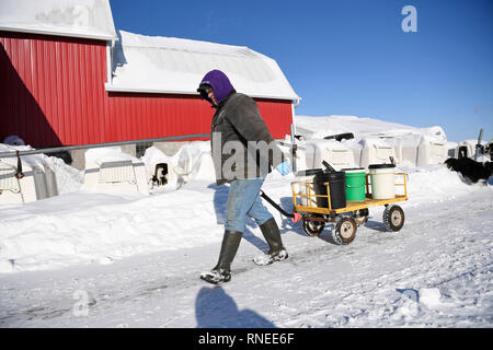Beijing, USA. 13th Feb, 2019. Brad Kremer works in his family farm located in Pittsville, Wisconsin, the United States, on Feb. 13, 2019. Credit: Liu Jie/Xinhua/Alamy Live News Stock Photo