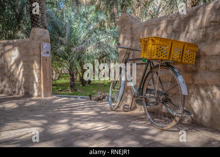 Close-up of an Old bicycle in Al Ain Oasis, with patterns from palm trees shades, United Arab Emirates Stock Photo