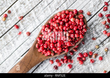 Dried pink peppercorn in spoon. Stock Photo