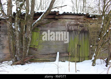 Białowieza Forest (Puszcza Białowieska), Podlasie, Poland, UNESCO world heritage Stock Photo