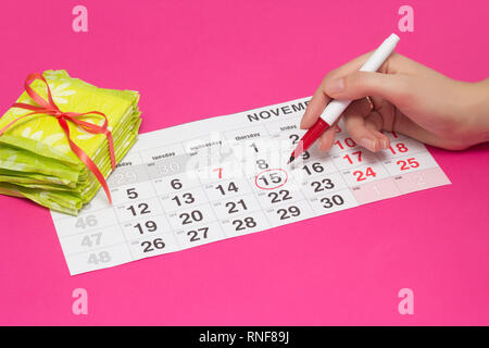 Female hand circle the days on the calendar with a felt-tip pen when she has her period, pink background, a stack of pads, gynecology, sanitary, intim Stock Photo