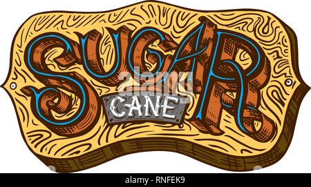 Cane sugar Wooden signboard inscription. Sugarcane or Stalks. Engraving Hand drawn food and natural ingredients. Stock Vector