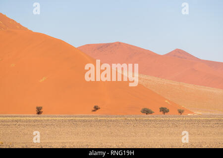African landscape, beautiful red sand dunes called Dune 47 in the Namib Naukluft national park, Sossusvlei, Namibia Stock Photo