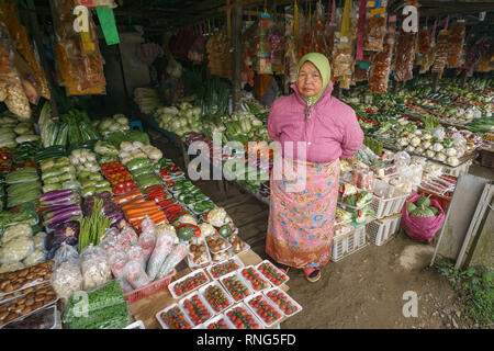 Ranau Sabah Malaysia - Sep 190, 2016 : Various kind of vegetable on sale at Kundasang market.Kudasang is main producer of highland vegetable in Sabah. Stock Photo