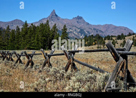 WY03785-00...WYOMING - Traditional pole fence line along the Beartooth Scenic Byway with Pilot Peak in the distance in the Shoshone National Forest.
