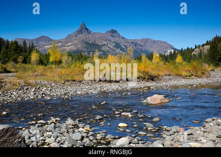 WYOMING - Fall color along the banks of the Clark Fork of the Yellowstone River with Pilot and Index Peaks beyond, in the Shoshone National Forest.