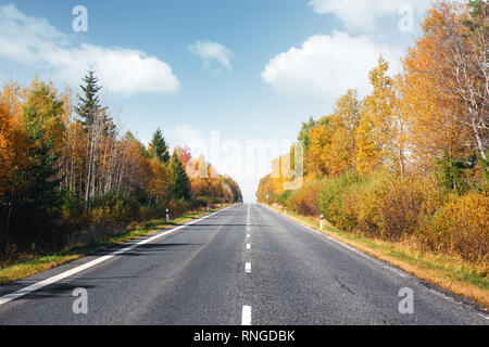 Amazing view of alpine road, orange larch forest and high mountains on background. Switzerland, near Italy border. Landscape photography Stock Photo