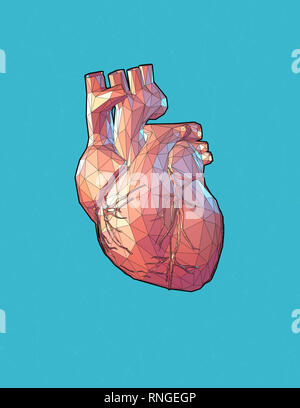 Low poly human heart stylized with wireframe edge on turquoise background Stock Photo