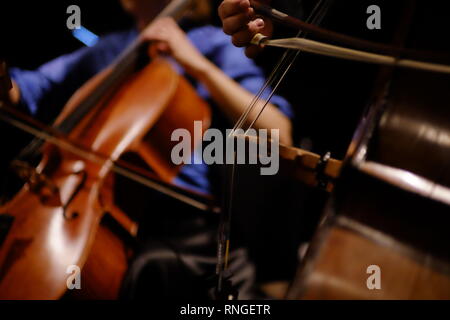 Double bass & cello being bowed in closeup in concert without faces being shown Stock Photo