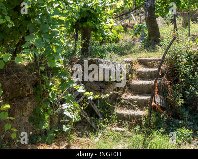 Abandoned disused derelict garden steps with a metal handrail in an overgrown garden sunlight in Portugal Stock Photo