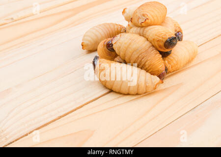 Red palm weevil on the wooden floor background(Rhynchophorus ferrugineus) Larvae of insects Selective focus with shallow depth of field Stock Photo