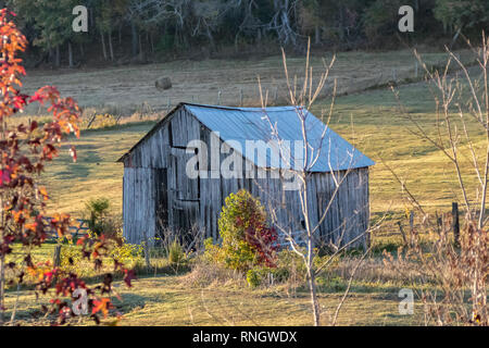Abandoned barn in a meadow with some colorful autumn leaves in the foreground Stock Photo