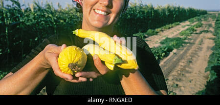 A farm woman holds several yellow crookneck squash that she has just picked from her field in southern New Mexico. Stock Photo