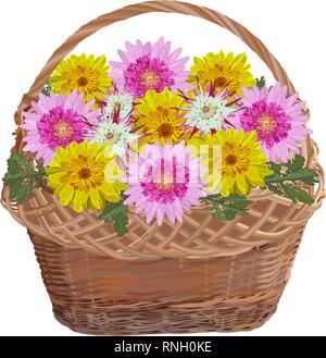 Wicker basket with chrysanthemum flowers. Vector flat illustration isolated on white background. Stock Vector