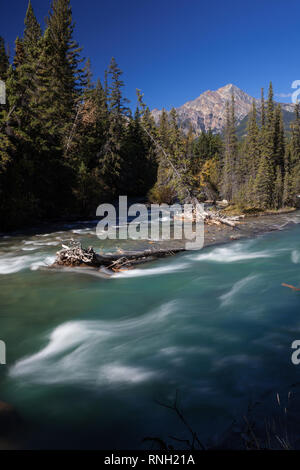 Maligne River Tail, Jasper National Park, Alberta, Canada Stock Photo