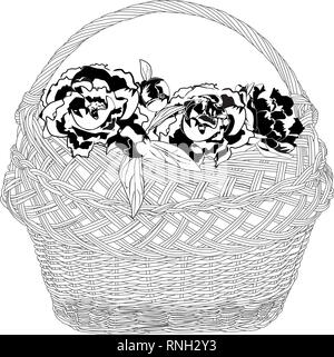 Wicker basket full of peony flowers. Vector black and white illustration. Stock Vector