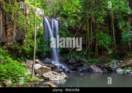 Curtis Falls in Tamborine National Park, Queensland, Australia Stock Photo